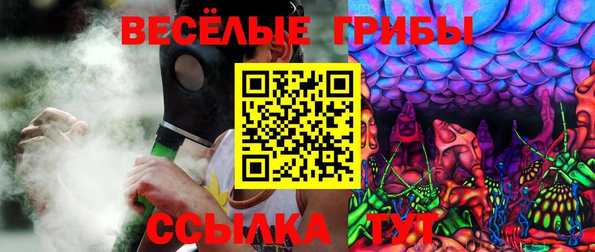 Галлюциногенные грибы Psilocybine cubensis  Псилоцибиновые грибы GOLDEN TEACHER  Вход с VPN  Канск 