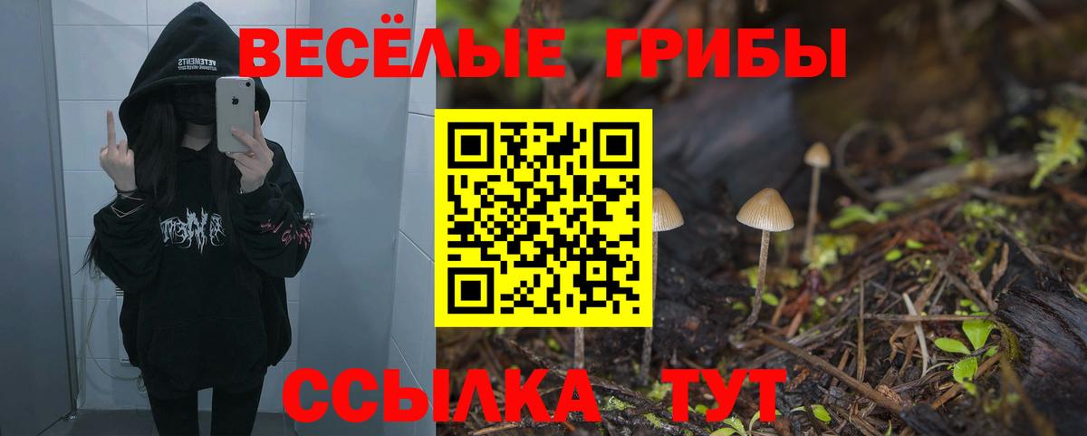Галлюциногенные грибы ЛСД Канск